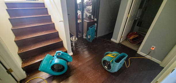 Best Water damage restoration near me  in Baldn, WI