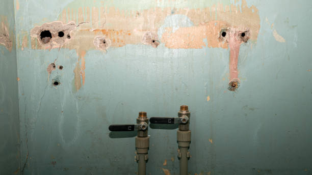 Best Fire Damage Restoration  in Baldn, WI